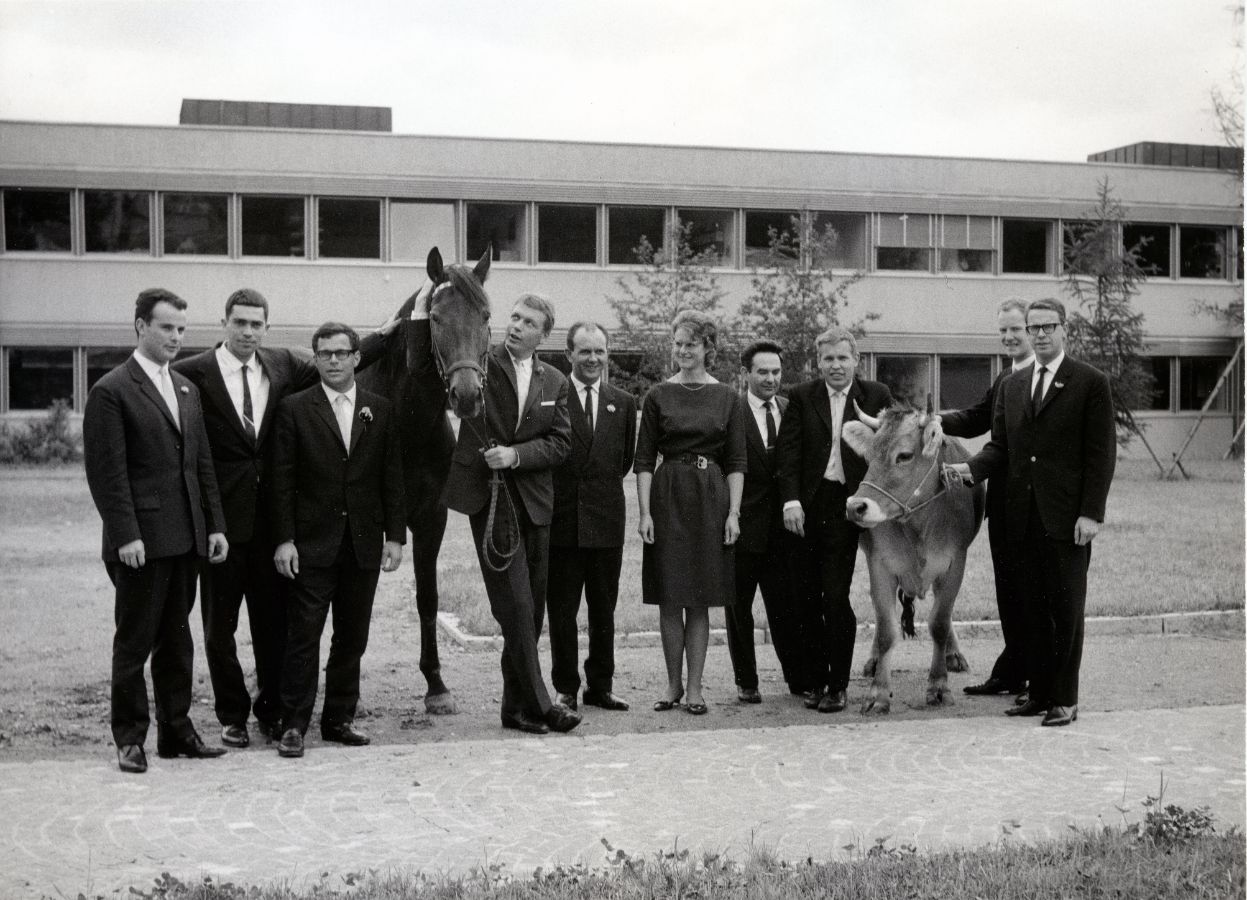 1965